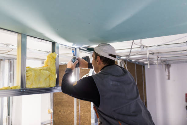 Best Insulation Maintenance and Repair in Dry Ridge, KY