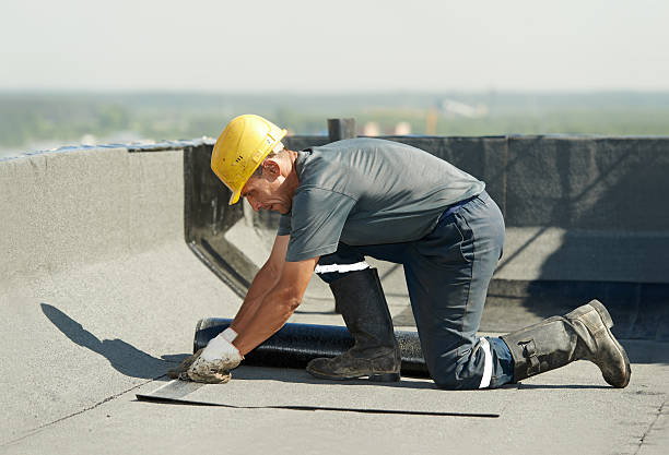 Best Insulation Installation Services in Dry Ridge, KY