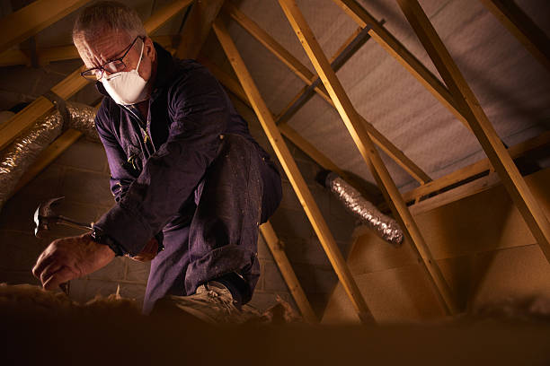 Best Commercial Insulation in Dry Ridge, KY